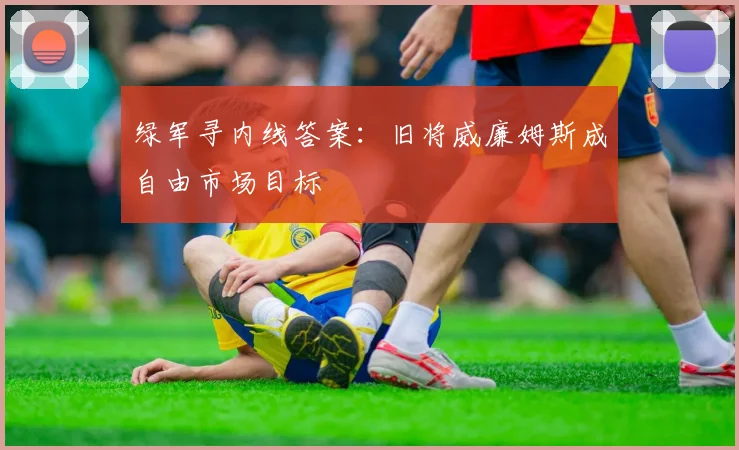 绿军寻内线答案：旧将威廉姆斯成自由市场目标