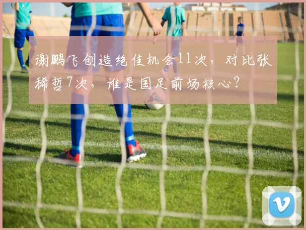 谢鹏飞创造绝佳机会11次，对比张稀哲7次，谁是国足前场核心？